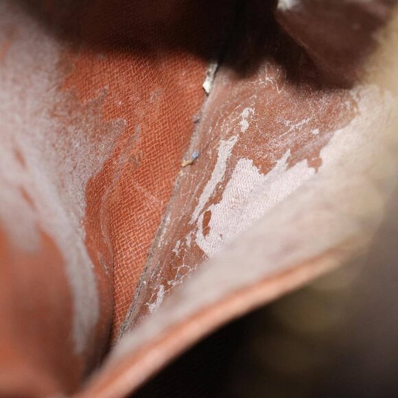 LOUIS VUITTON Monogram Amazon Shoulder Bag - Picture 9 of 16